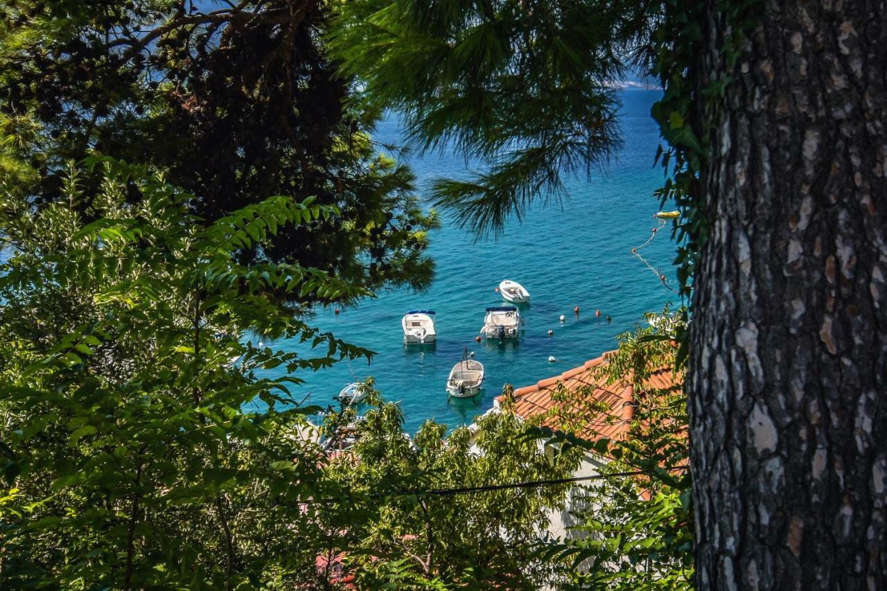 Villa Iva Pisak Εξωτερικό φωτογραφία